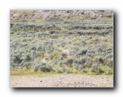 Click to enlarge this image